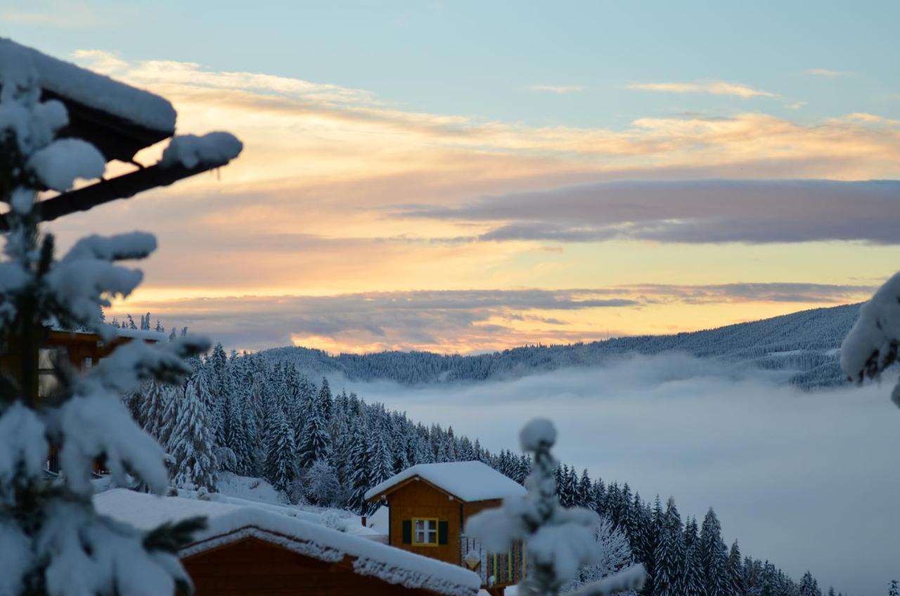 Ferienhaus Seetaler Alpen Obdach Zewnętrze zdjęcie